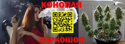 mdpv Донской