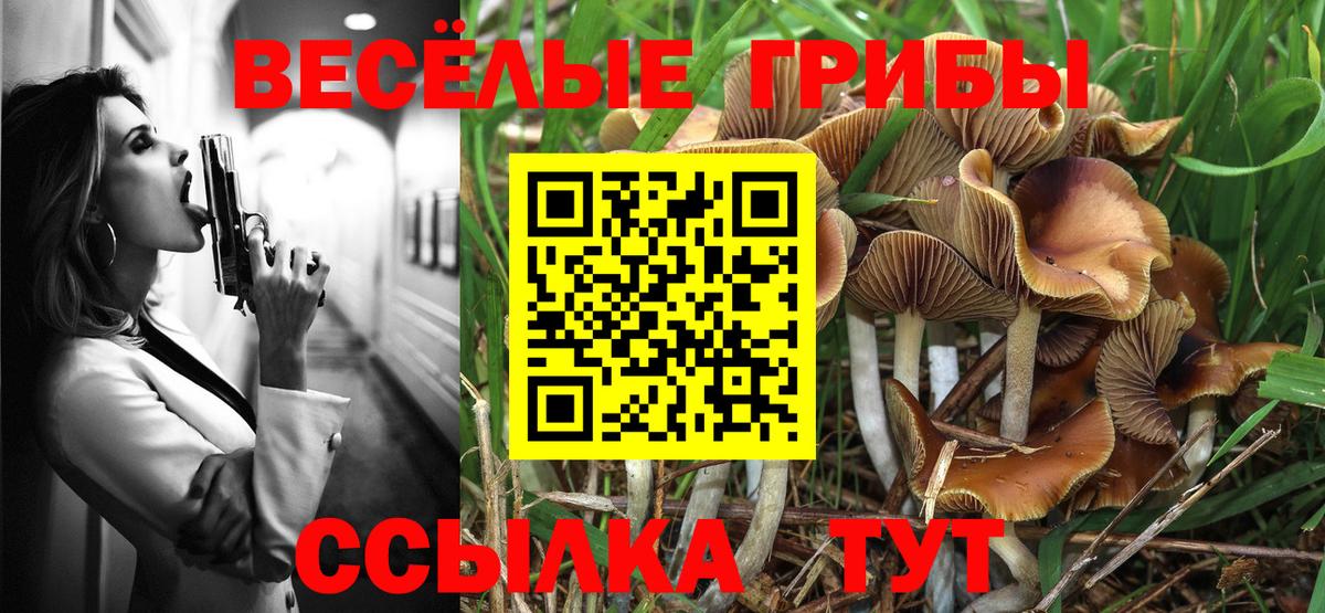 Галлюциногенные грибы мухоморы Мценск