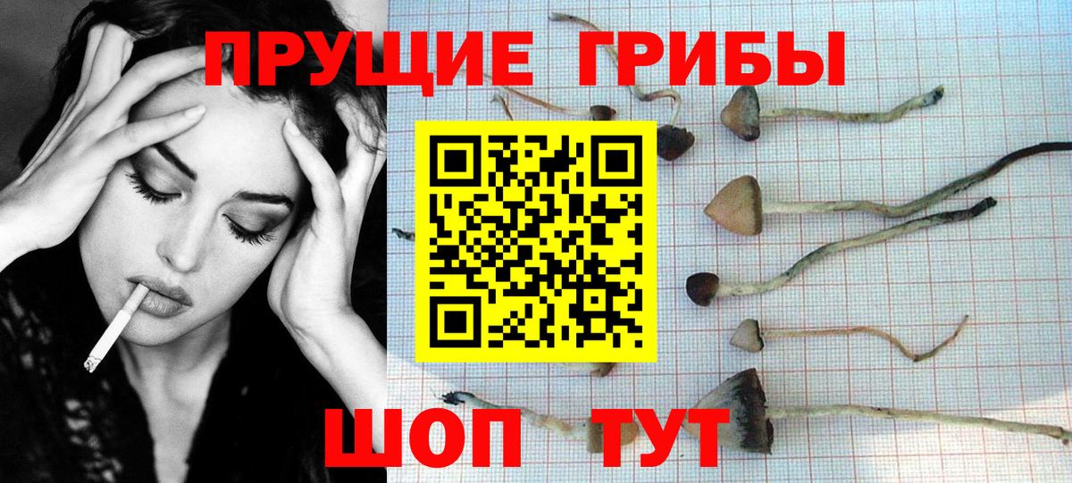 Галлюциногенные грибы мицелий  Галлюциногенные грибы Cubensis  Мценск 