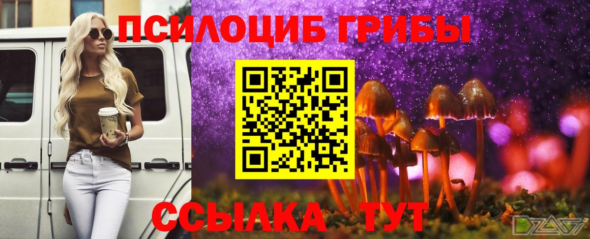 Галлюциногенные грибы ЛСД Мценск