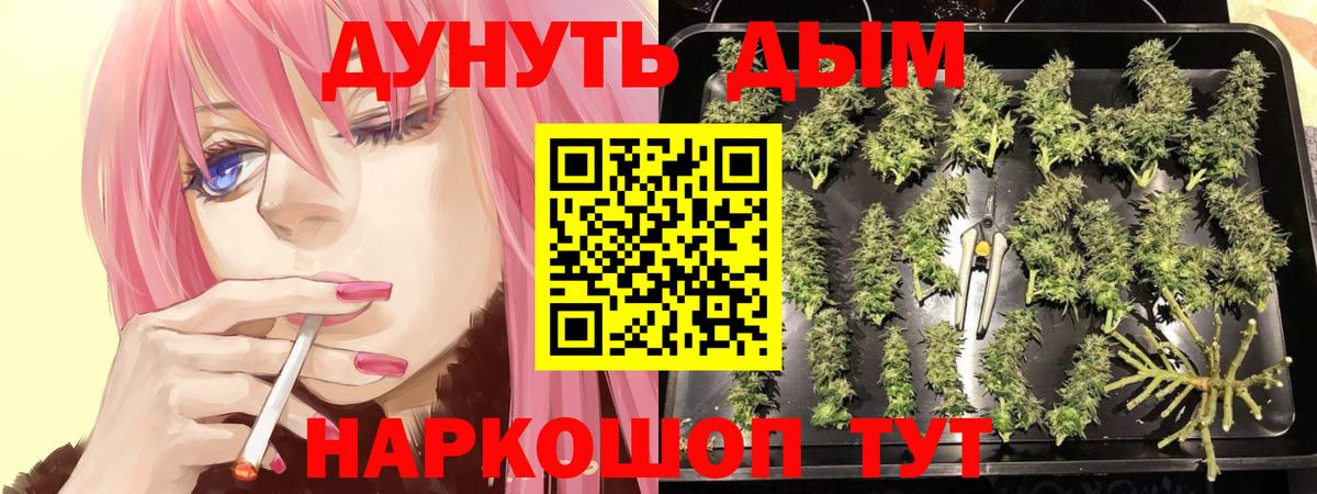 Шишки марихуана тримм  Шишки марихуана ГИДРОПОН  Бошки Шишки SATIVA & INDICA  Мценск  Бошки Шишки конопля 